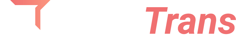 Логотип LocalTrans